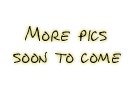 beach_moretocome.gif (4530 bytes)